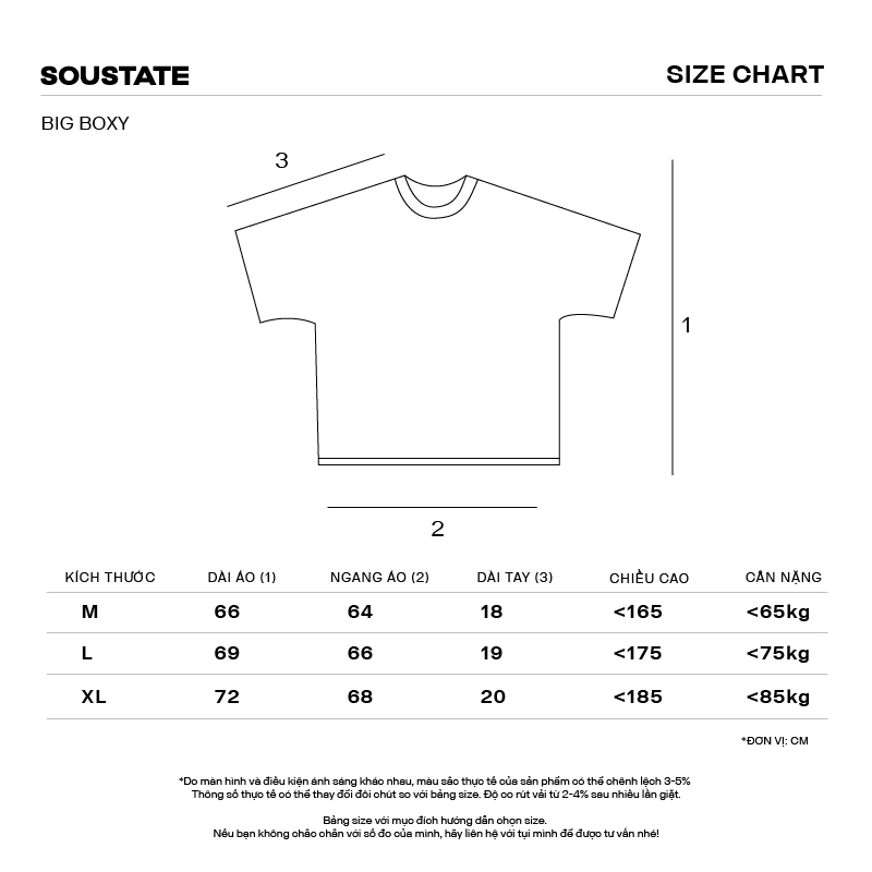 Áo Thun Big Boxy SOUSTATE "Ghost"
