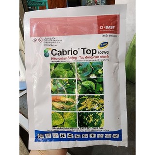 Cabrio top 600wg.