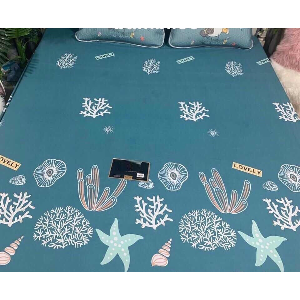 Ga chống thấm 100% cotton nano chống thấm size 2m2 x 2m x 10cm