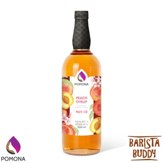 Siro pha chế trái cây Pomona các loại
