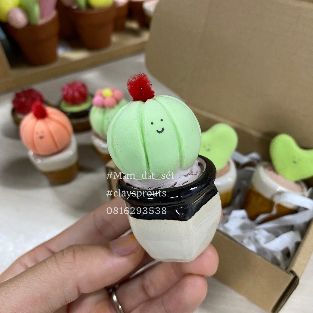 Chậu xương rồng để bàn mini từ đất sét siêu nhẹ - hộp quà đi kèm
