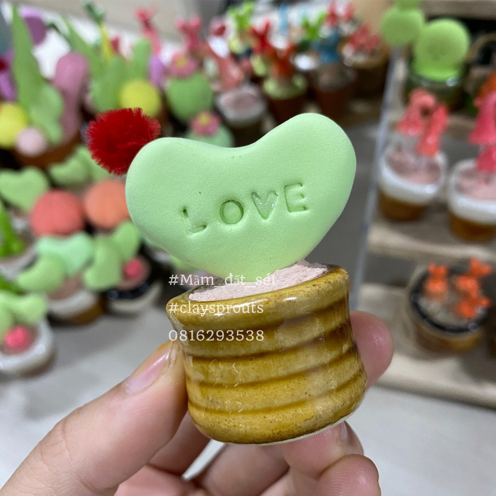 Chậu xương rồng để bàn mini từ đất sét siêu nhẹ - hộp quà đi kèm