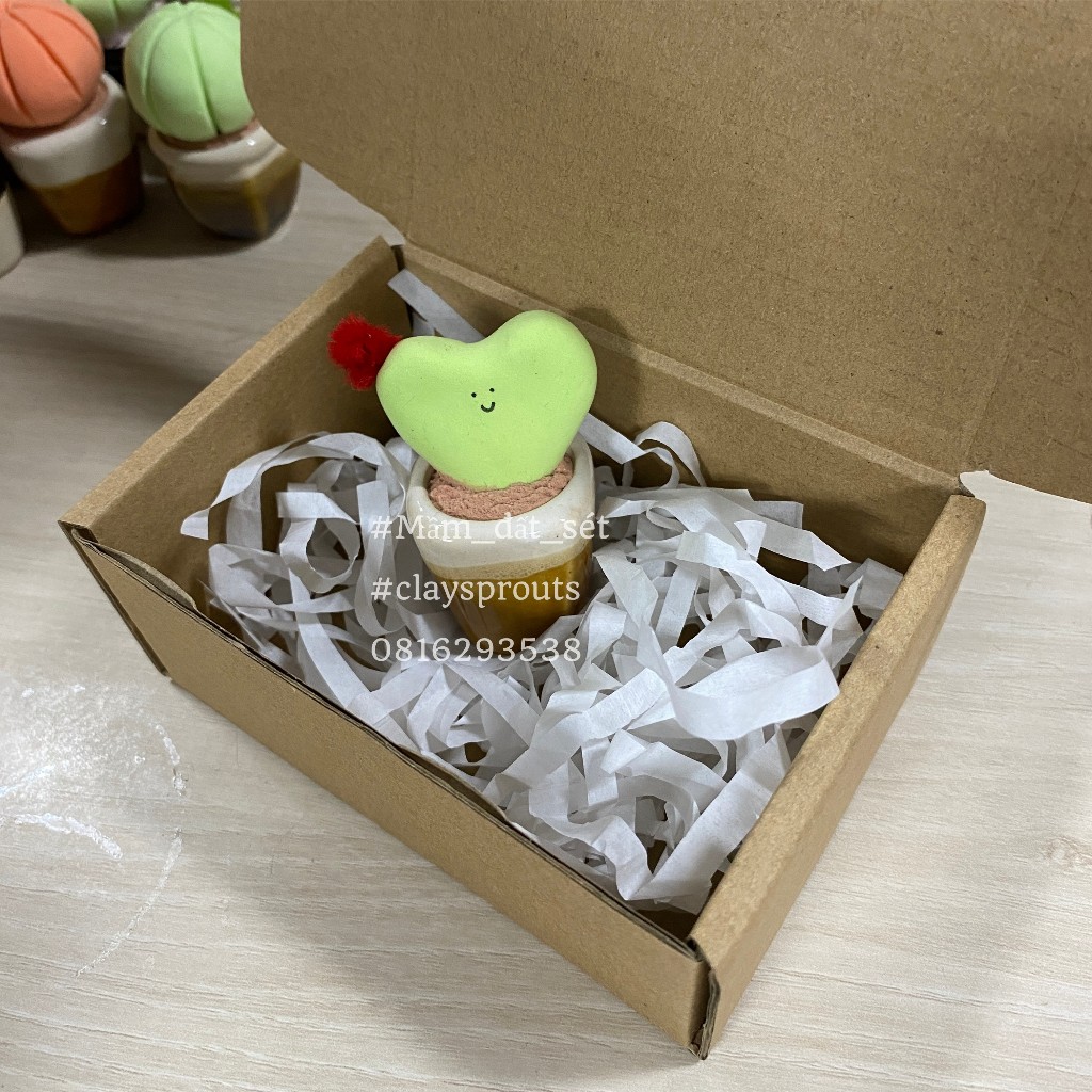 Chậu xương rồng để bàn mini từ đất sét siêu nhẹ - hộp quà đi kèm