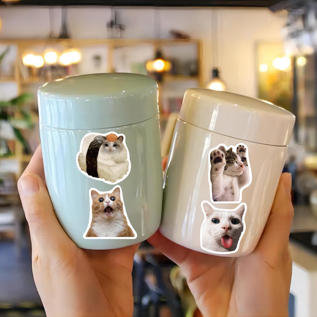 Set 10/50 hình dán sticker meme mèo hài hước chống nước dán laptop, điện thoại, đàn guitar, mũ bảo hiểm, vali