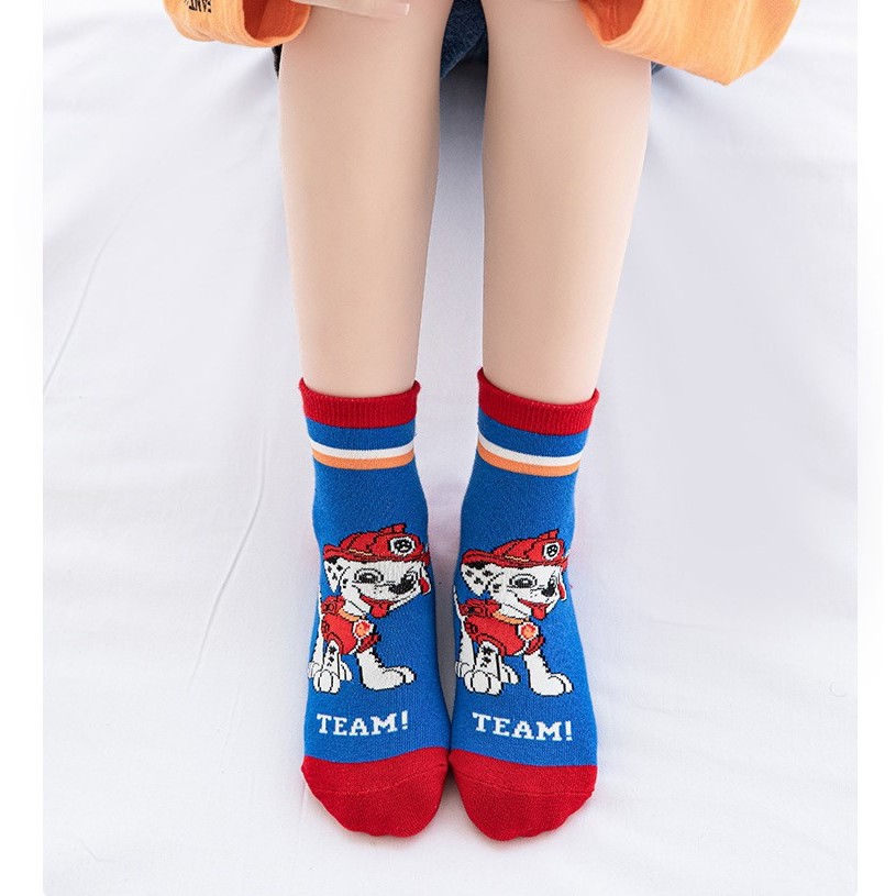 TÚI 5 ĐÔI TÂT VỚ CỔ DÀI CHÓ CỨU HỘ