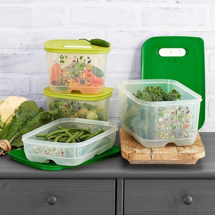 Bộ hộp trữ đông và trữ mát Tupperware Modern Ventsmart (12 hộp) - Bảo hành trọn đời - Nhựa nguyên sinh PP số 5