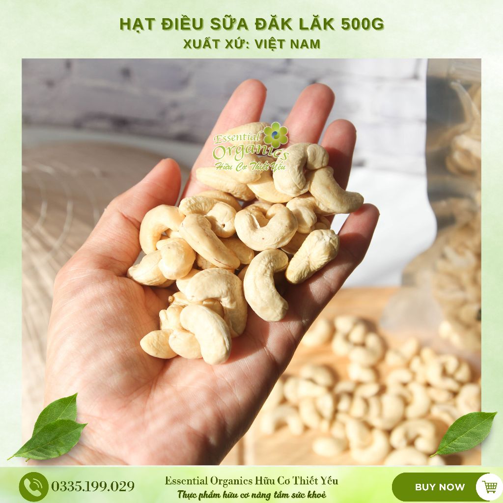 Hạt điều Đăk Lăk hàng sạch an toàn cho gia đình