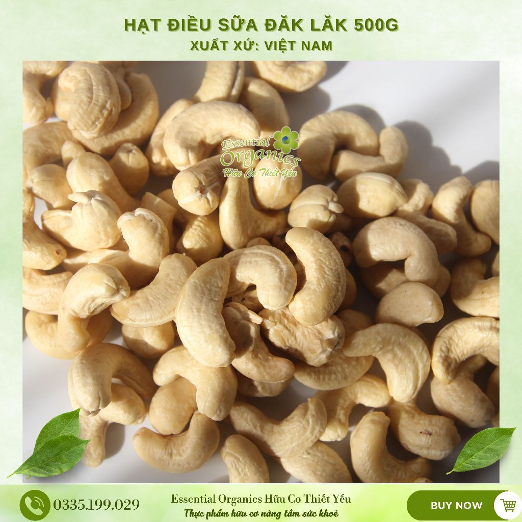 Hạt điều Đăk Lăk hàng sạch an toàn cho gia đình