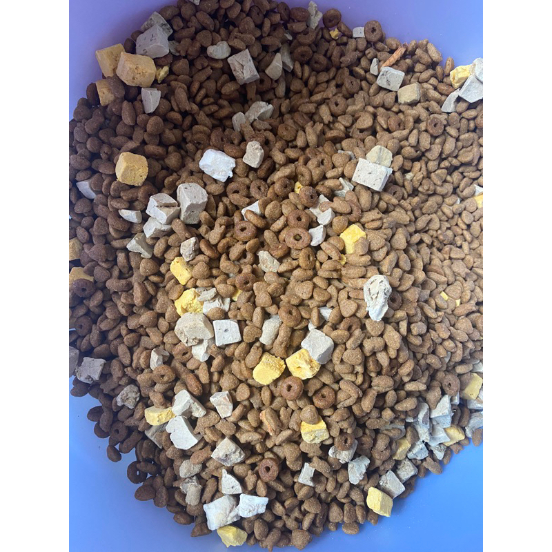 Hạt Mix dinh dưỡng cho mèo PHIÊN BẢN MỚI kèm topping thịt sấy lạnh
