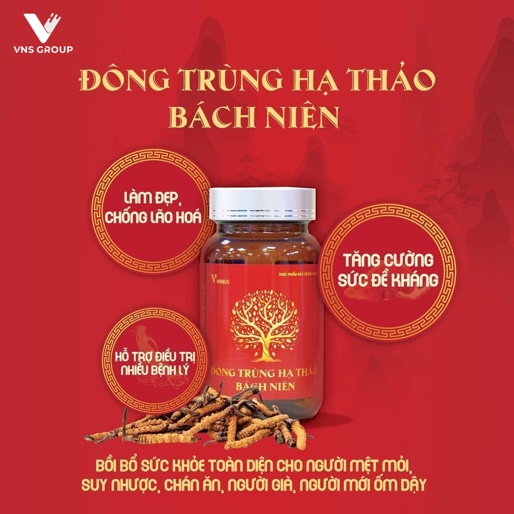 Combo 3 đông trùng hạ thảo Bách Niên VNS Group 60 viên/hộp