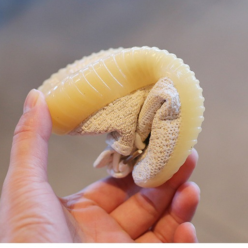 Giày thể thao cho bé trai bé gái dáng lười co dãn phong cách boost thời trang siêu êm từ 1 đến 12 tuổi