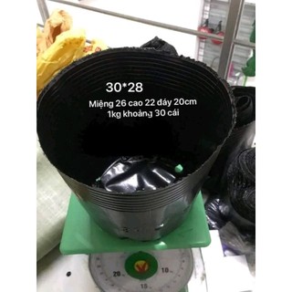 1 Kg Bầu ươm cây