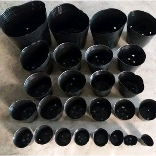 1 Kg Bầu ươm cây