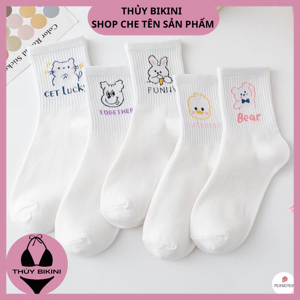Tất cổ cao nữ cotton, sét 5 đôi vớ họa tiết dễ thương phong cách Hàn Quốc L6096