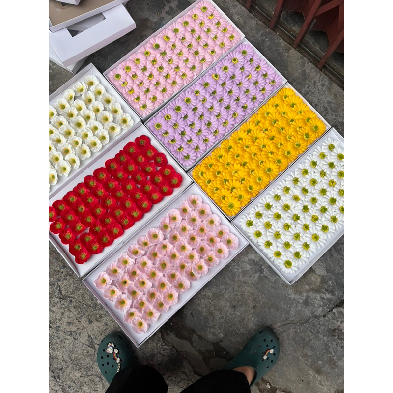 Hoa sáp cao cấp anh túc