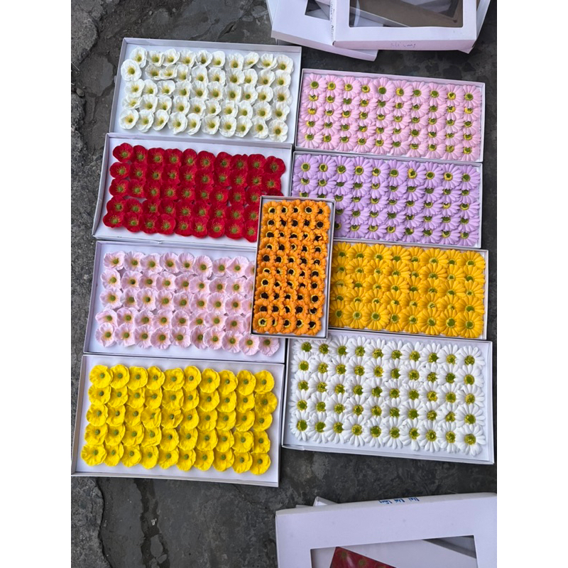 Hoa sáp cao cấp anh túc