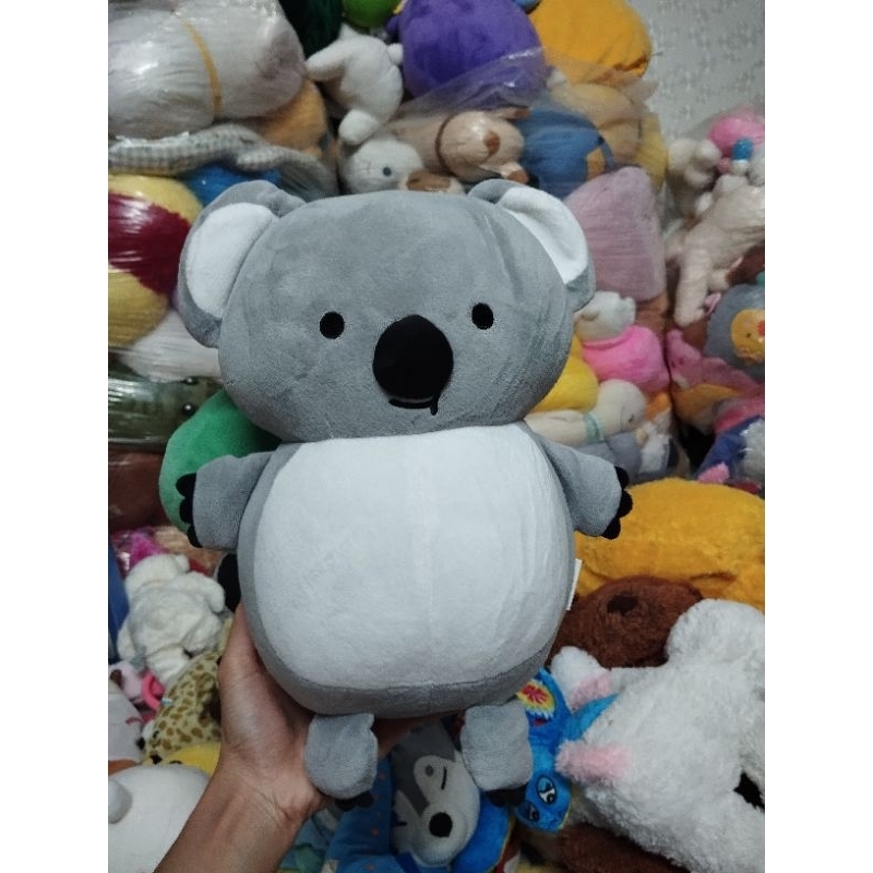 Gấu bông gấu túi koala miniso size 40-45cm