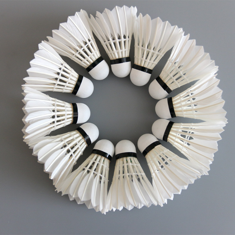 Quả cầu lông giá siêu rẻ tiêu chuẩn thi đấu phù hợp cho học sinh sinh viên tập luyện