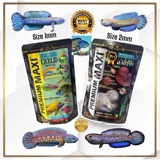 Cám Akari Maxi | Dành cho cá lóc | Hỗ Trợ Màu Đa Sắc Tố | Thức Ăn Cá Lóc