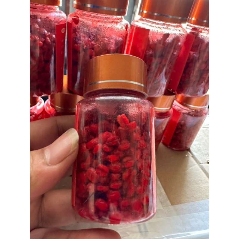 Mồi lúa mạch đài loan, mồi cắt móm, lọ 300 hạt