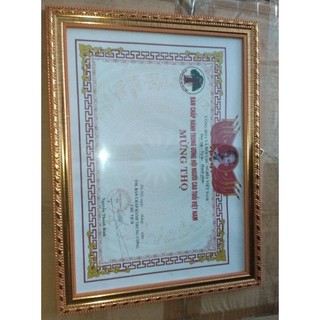 đổ sỉ Khung Giấy Khen b4 (26x36)