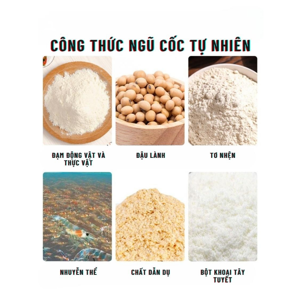 Mồi Câu Cá Số 1 Trung Hoa - Mồi Câu Cá Chép, Trôi, Rô...Mồi Câu Đài Tự Nhiên, Mồi Câu Siêu Nhạy Phù Hợp Nhiều L