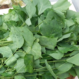 1kg lá vông nem tươi lá vông mất ngủ hoa tốc 1h nhận hàng
