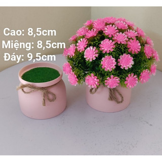 , chậu nhựa nhồi xốp phủ rêu xanh cao cấp