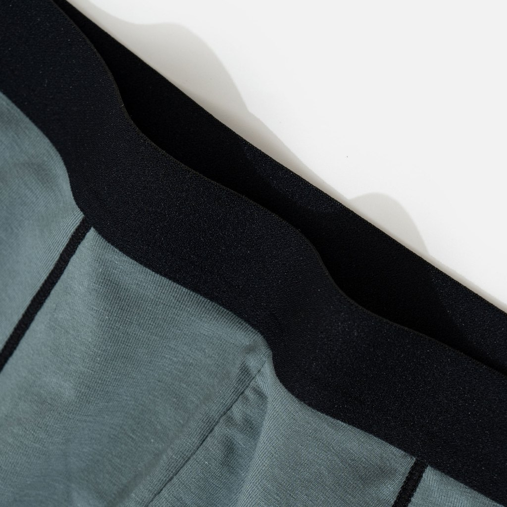 Combo 5 Quần Sịp Đùi Boxer Nam Ramsey Daily Raise Cotton Co Giãn 4 Chiều RC 602