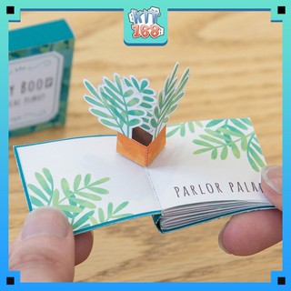 Mô hình giấy đồ vật đồ chơi Sách cây nhiệt đới 3D