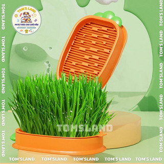 Hộp trồng cỏ lúa mạch thủy canh hình carrot dành cho mèo - bộ kit trồng cỏ tươi lúa mạch hình carrot cho thú cưng