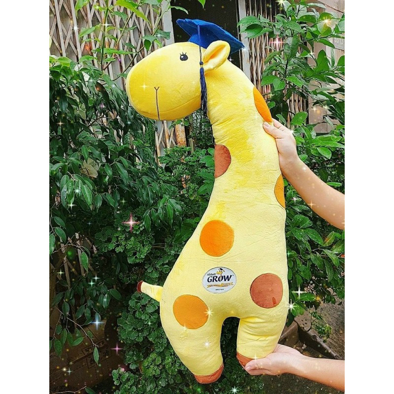 THÚ BÔNG XINH XẮN