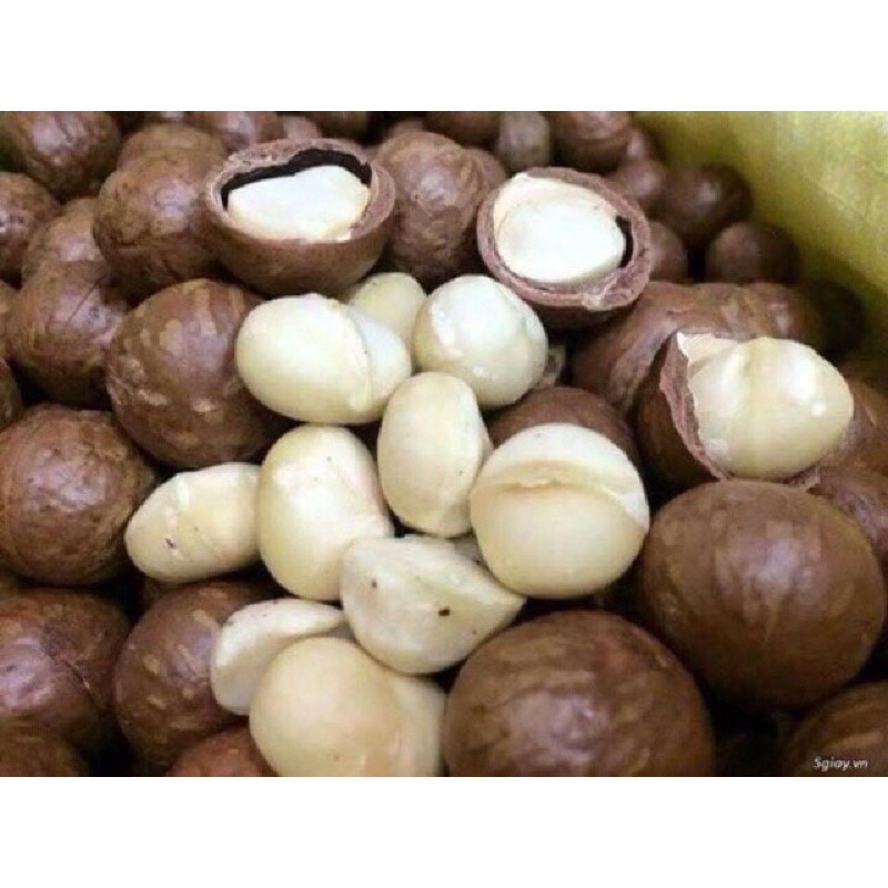 500g Hạt Macca Nứt Vỏ Hàng Hảo Hạng