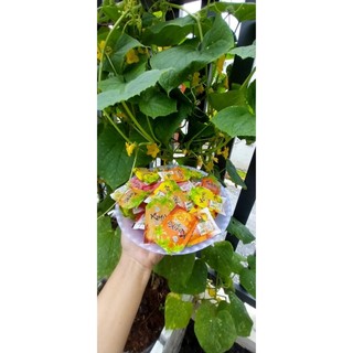 Thạch zai zai Mikiko 1 túi 980g