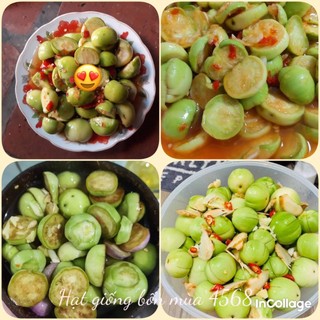 400 hạt giống cà pháo chùm xanh Thái Lan