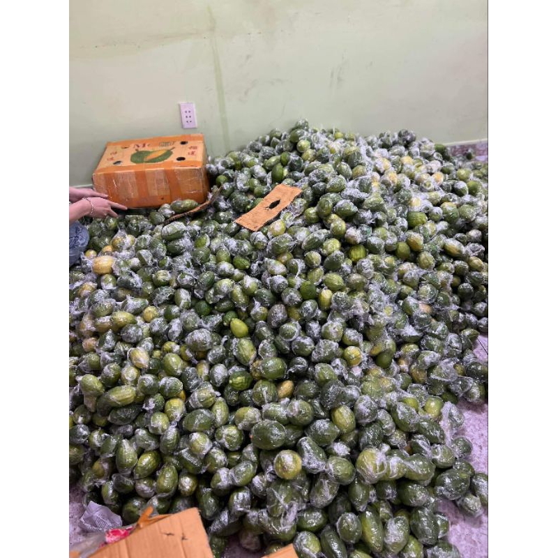 75k/kg Chanh xanh Quảng Đông LOẠI 1 hot trend - 500g - giá Tốt Nhất - Hoả Tốc 30p Hà Nội