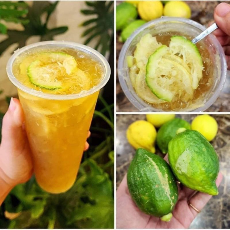 75k/kg Chanh xanh Quảng Đông LOẠI 1 hot trend - 500g - giá Tốt Nhất - Hoả Tốc 30p Hà Nội