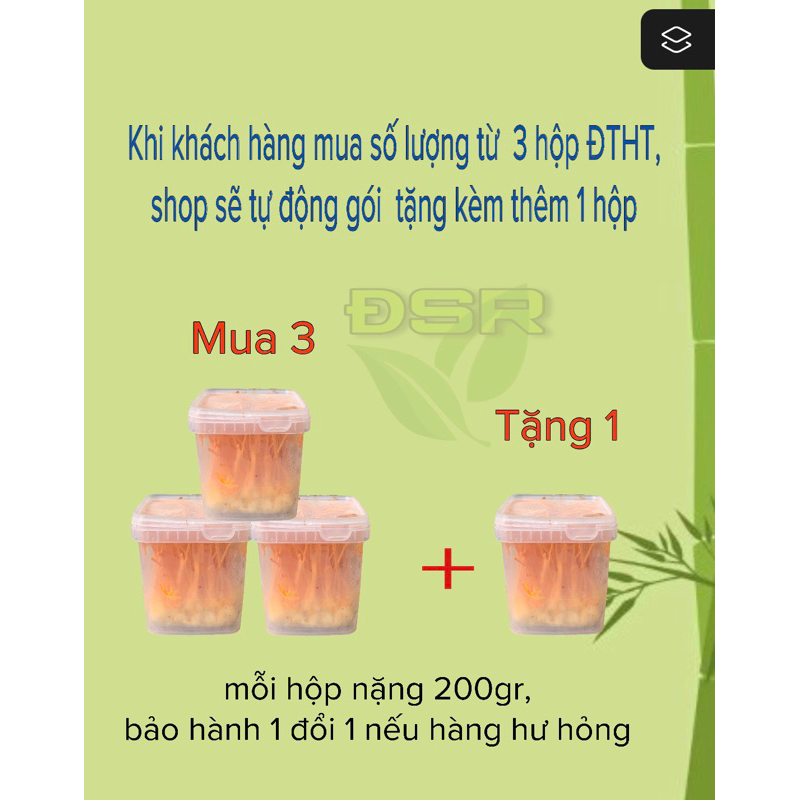 Đông Trùng Hạ thảo Tươi  - mua 3 tặng 1