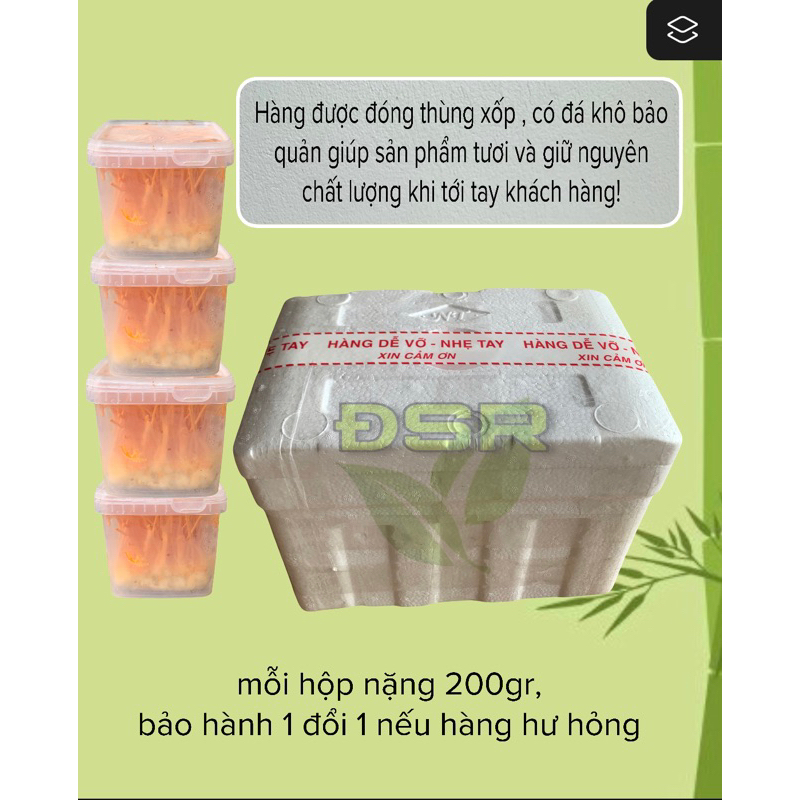 Đông Trùng Hạ Thảo Tươi 200gr