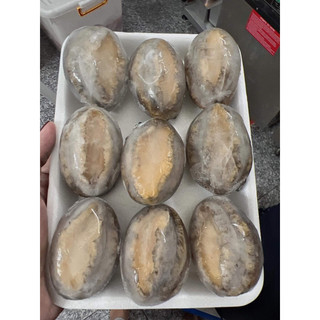 Bào ngư nhập khẩu size 9 con/ 500gr