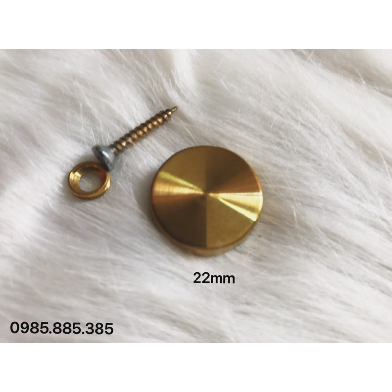 Set 50 Chiếc chụp vít inox mạ vàng PVD cao cấp Size 22mm