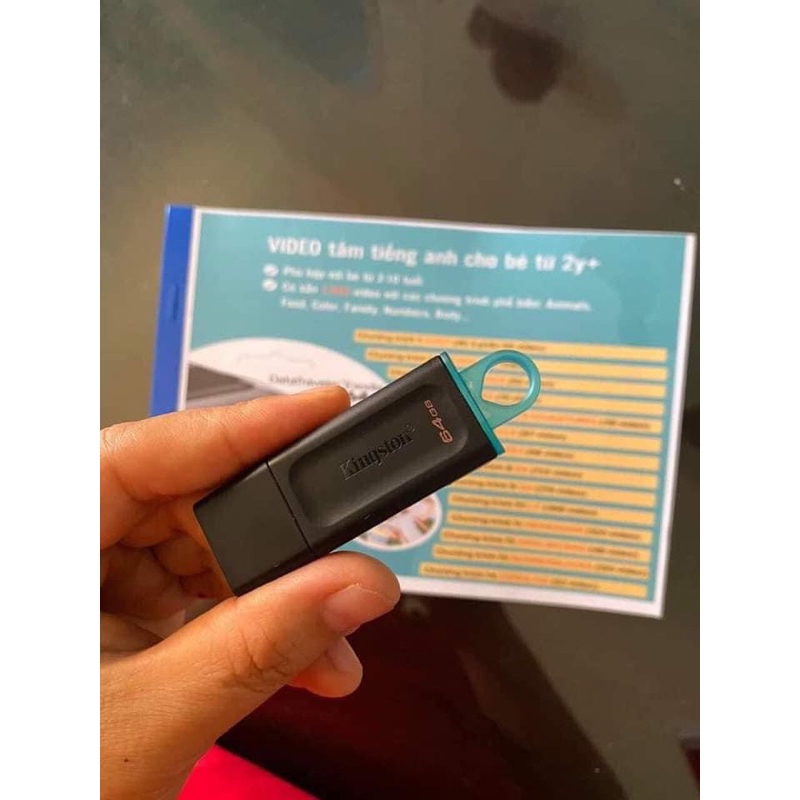 USB Học Tiếng Anh, Sẵn 1600 Video Cho Bé Học Tiếng Anh