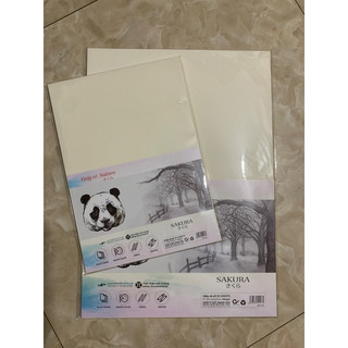 Giấy vẽ Sakura giấy nhám-160gsm