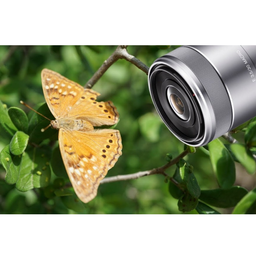 Ống kính Macro SONY SEL 30mm F3.5 cho máy ảnh SONY (APS-C)
