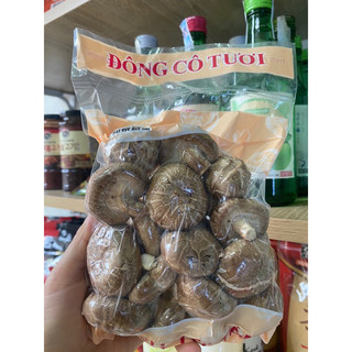 nấm đùi gà