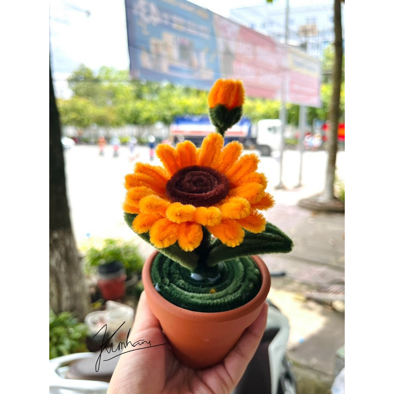 Chậu Hoa Kẽm Nhung Homemade đáng yêu