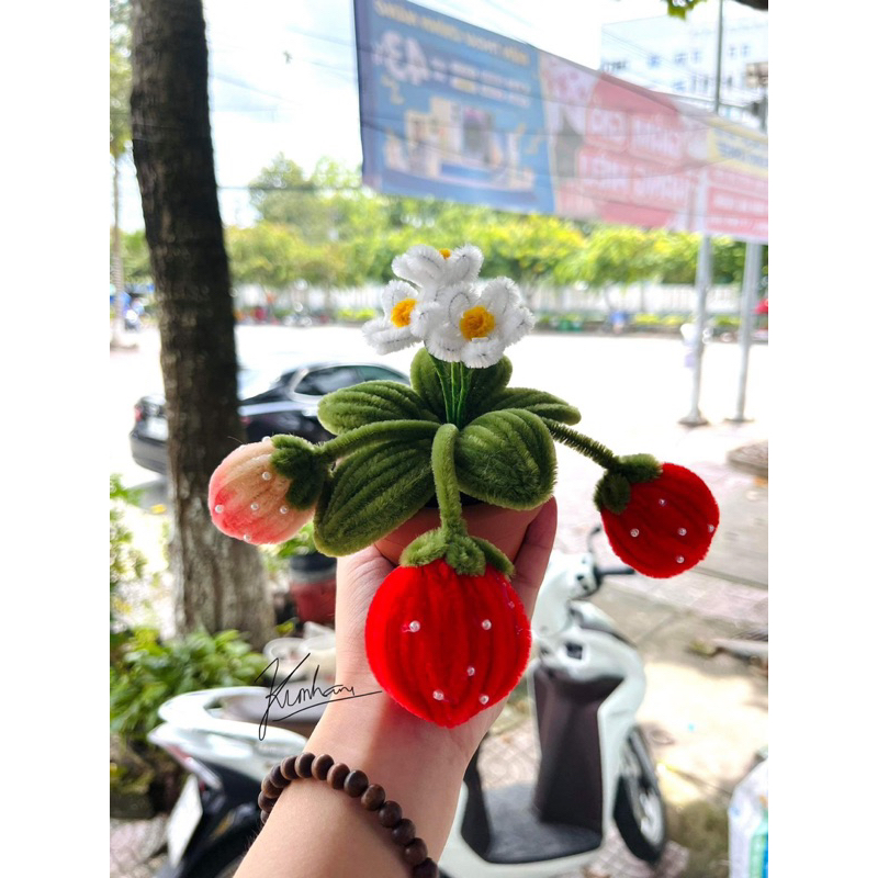 Chậu Hoa Kẽm Nhung Homemade đáng yêu