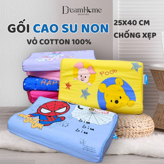 Gối cao su non cho bé 25x40 cm, vỏ gối cotton hoạt hình disney có khóa kéo phù hợp cho bé từ 2 đến 7 tuổi DREAMHOME