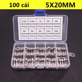 Bộ 100 Cầu Chì Ống Thủy Tinh 5 * 20Mm