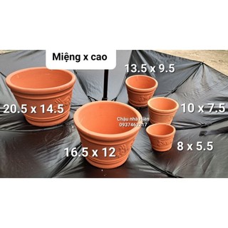 Chậu đất nung - Combo 5 chậu dây nho